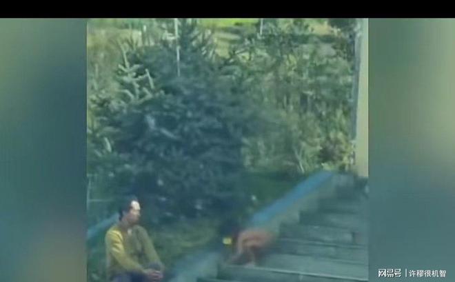 野人男孩北京新生活：告别爬行妈妈瘦身明显